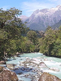 R&iacute;o en la zona de Palena